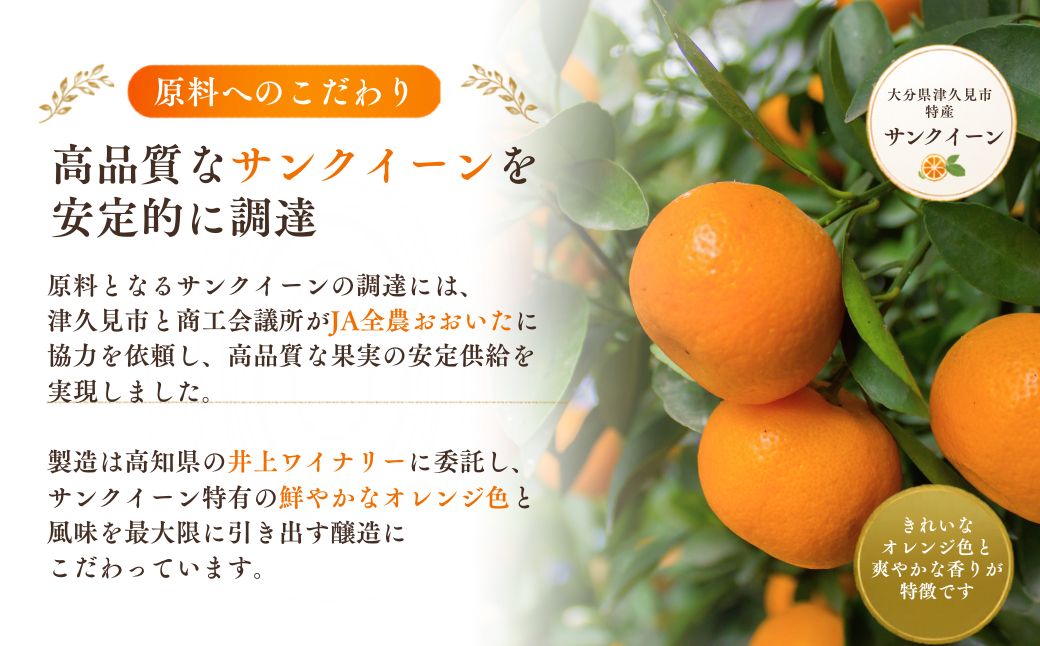【数量限定】つくみ Premium SUNQUEEN WINE 1本 | ワイン サンクイーン 柑橘 九州 大分県 津久見市