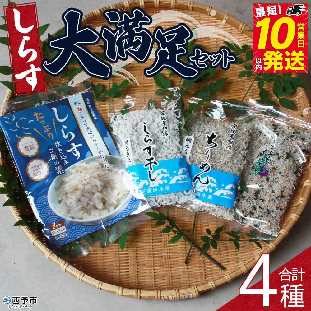 ＜しらす大満足セット 合計4種＞炊き込み 西予市産 ちりめん しらす干し 食べ比べ 健康 詰め合わせ チリメン シラス 魚介 海産物 海鮮 家庭用 贈答用 小分け 国産 特産品 産地直送 濵田水産 愛