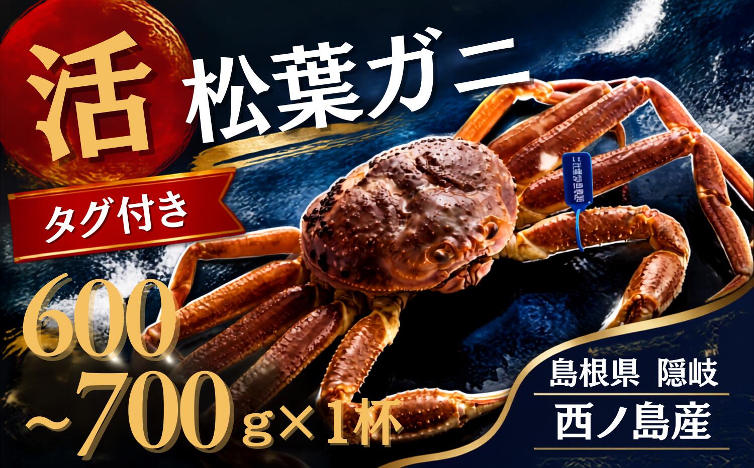 【先行販売】【ふるさと納税】松葉ガニ〈活〉松葉ガニ マツバガニ タグ付き＜11月中旬～2月中旬頃発送予定＞＜選べる容量＞600g~700g 1杯～3杯