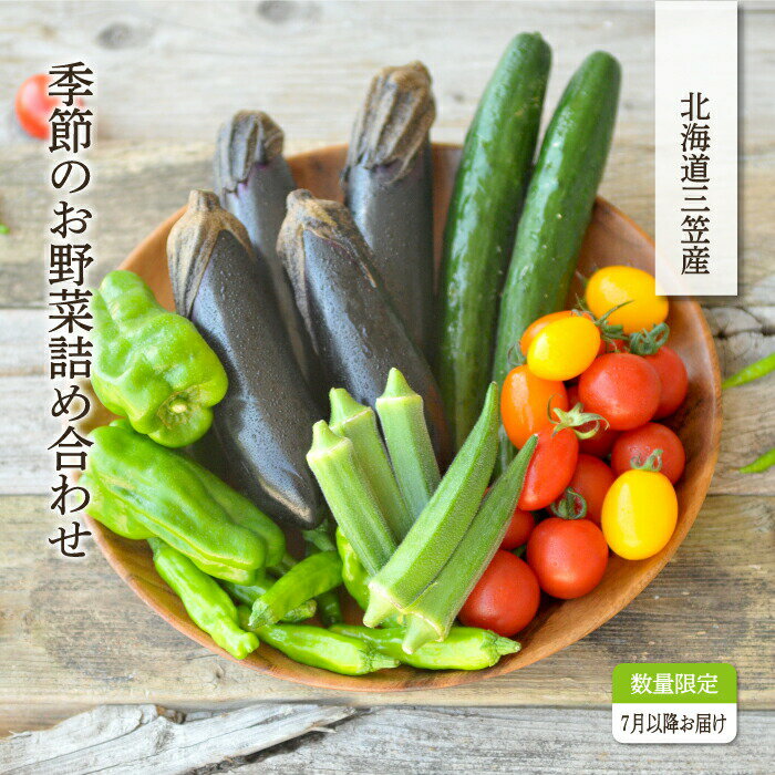【ふるさと納税】《令和8年分》数量限定！季節のお野菜詰め合わせ 夏(配送時期：7月～8月) | ふるさと納税 北海道 三笠 野菜 夏野菜 夏 新鮮 新鮮野菜 詰合せ 詰め合わせ お取り寄せ ワンストップ マイページ 道の駅みかさ 農家の店 三笠市【01017】