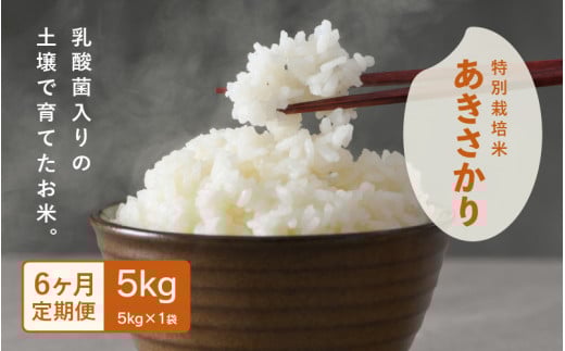 【先行予約】【令和7年産・新米】定期便 ≪6ヶ月連続お届け≫ 受賞歴多数！福井県 坂井町産 特別栽培米あきさかり 5kg (白米) 【2025年10月上旬より順次発送予定】 [F-4804_01]