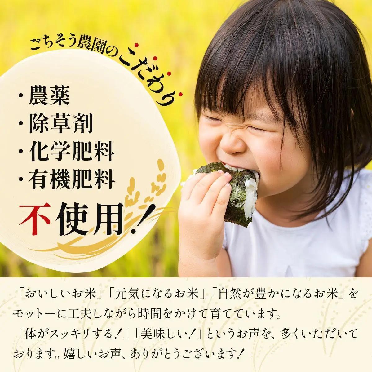 農薬・除草剤・肥料不使用 自然栽培米 令和7年度産ヒノヒカリ 玄米 3kg