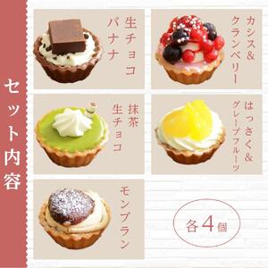定期便 5ヶ月 フレッシュ タルト 専門店 STYLE 岡山みに たると 厳選 5種 20個入 お菓子 ケーキ タルト スイーツ 合せ