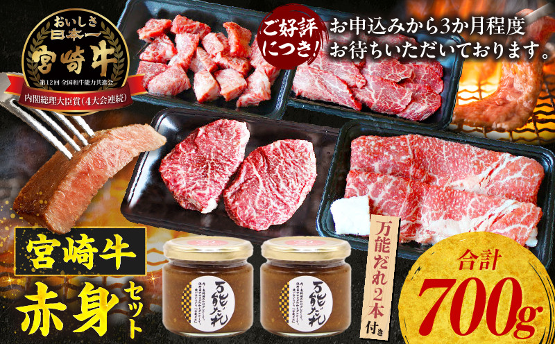 
            宮崎牛 赤身4種セット700g 万能だれ付き | セット 食べ比べ 味比べ 詰め合わせ 牛肉 肉 お肉 精肉 モモ肉 モモ ステーキ 焼肉 スライス 赤身 サイコロ 赤身肉 サイコロステーキ 調味料 タレ かけダレ 和えダレ 国産 宮崎県産 お取り寄せ 宮崎県 高千穂町 |_Tk024-002
          