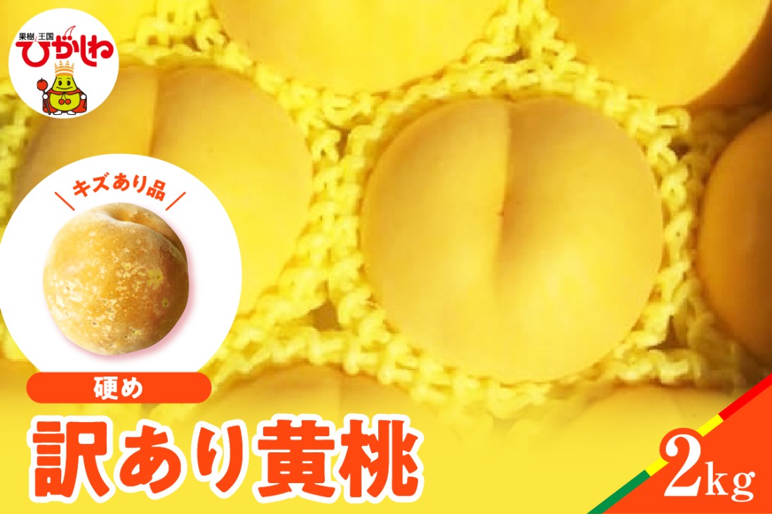 【2026年産】黄桃 品種おまかせ 訳あり2kg(硬め)松栗提供 山形県 東根市 hi062-063