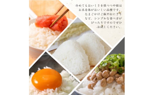 【特別栽培米】《JAさがえ西村山限定》 新米 山形県産 つや姫 ヴィラージュ 5kg 令和7年産【2025年11月より順次配送】 ／ 2025年産 白米 精米 お米 米 小分け ブランド米 ごはん 東