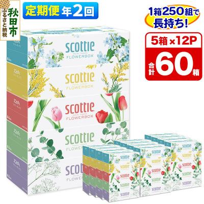 ふるさと納税 秋田市 《2回定期便》ティッシュ フラワーボックス 60箱 5箱×12P|15_nsc-071202