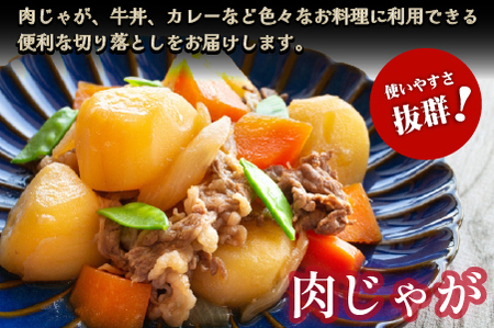 【黒毛和牛専門店直送】厳選黒毛和牛切り落とし 2.0kg（500g×4P 国産 牛肉 和牛 薄切り スライス 切り落とし 赤身 訳あり 特別提供）