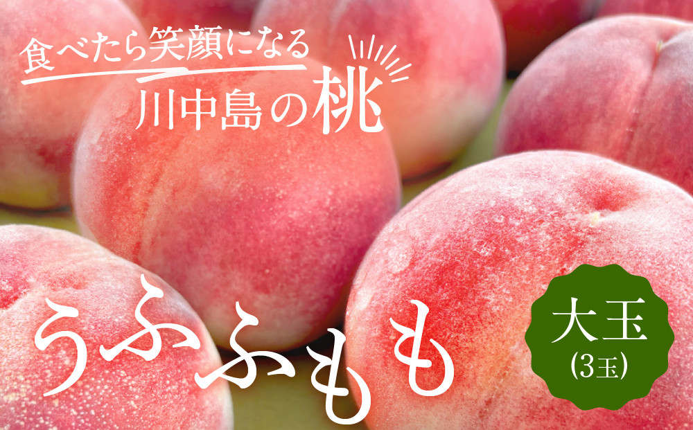 すーさんの果樹屋　【先行予約】川中島の桃 大玉3玉 品種おまかせ 8月中旬～8月下旬発送予定 | 桃 もも フルーツ 果実  人気 おすすめ ギフト 産地直送 送料無料 長野県 長野市 信州 信濃 ふるさと納税
