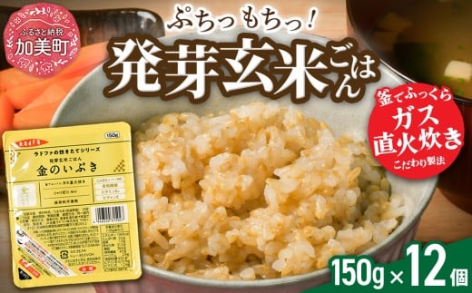 米 玄米 パックごはん 宮城県産「 金のいぶき 」発芽玄米 パックご飯 ( 150g × 12個 )  ＜ 宮城 ブランド 玄米 ＞ レトルト ごはん ご飯 レトルトごはん レンジ レンチン かんたん パックライス 簡単 お手軽 アウトドア キャンプ 備蓄 非常食セット 非常食 防災グッズ 保存食 常備 防災 | JA加美よつば 加美町  yo00005-r7