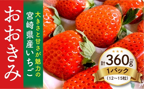 《2026年発送》【数量・期間限定】宮崎県産いちご「おおきみ」1パック(計360g以上：12粒～15粒) いちご 大粒 甘い 糖度