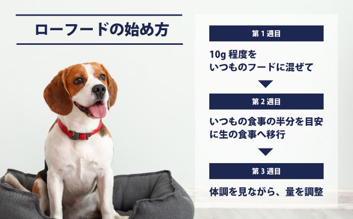 【犬猫用・ペット用】馬肉パーフェクトプラス　800g×2袋(80g×20本)　ペットフード　馬肉ペットフード　【ディアラ】 [AKGU002]