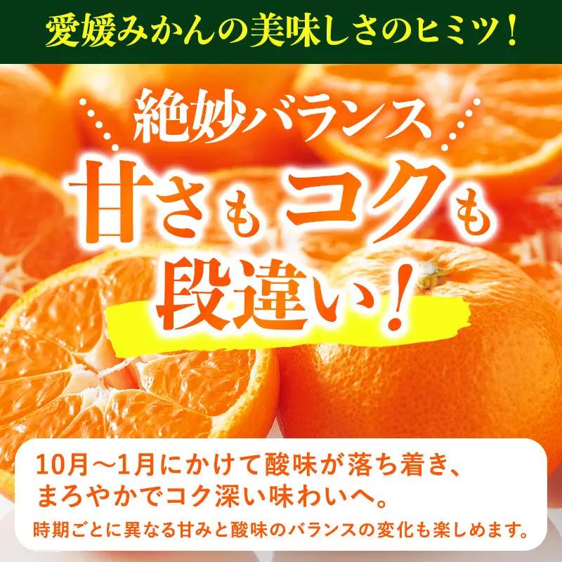 【先行予約】愛媛みかんバラ詰め（5kg）