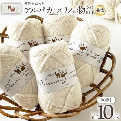 ふるさと納税 江南市 あみもねっと アルパカとメリノの物語並太 1番色 10玉セット