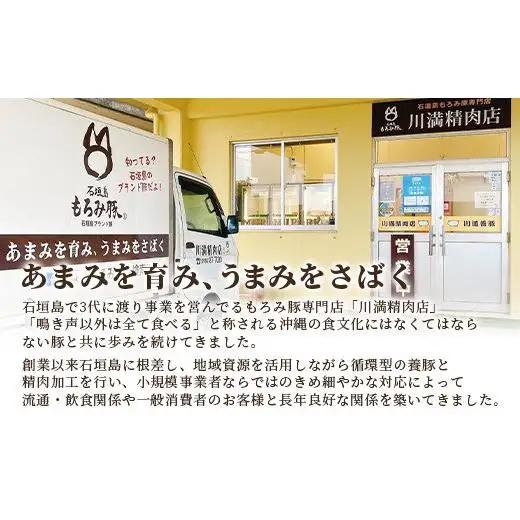 【石垣島ブランド豚】もろみ豚 特製 餃子 4パック【合計48個】【もろみで育てる自慢の豚肉】ぎょうざ 小分け AH-5