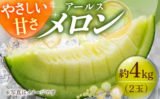【メロン先行予約】アールスメロン 約4kg（2玉）めろん 8月初旬順次発送 メロン [DAT002] メロン 2玉 あーるすめろん 甘い メロン melon 長崎 果物 めろん 果物 フルーツ メロン めろん メロン meron お取り寄せメロン 新鮮 産地直送 くだもの 人気 2026年8月初旬順次発送【ながさき西海農協小値賀地区園芸部会】