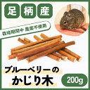 【ふるさと納税】【小動物ペットに】足柄産ブルーベリーのかじり木200g（お得パック）【 ペット 神奈川県 南足柄市 】