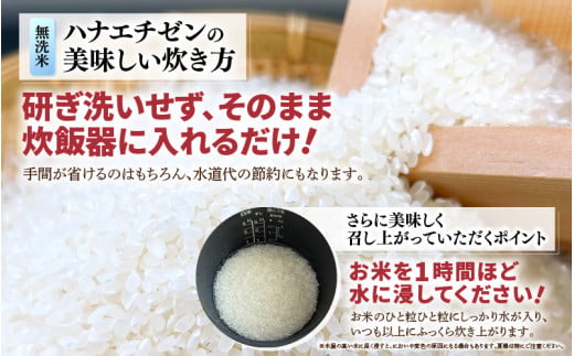 【先行予約】【令和8年産】 【10月上旬以降発送】華越前  無洗米 5kg / 米 5キロ ハナエチゼン はなえちぜん 北陸 福井県産 あわら市 ブランド米 白米 お米 コメ こめ kome ※202