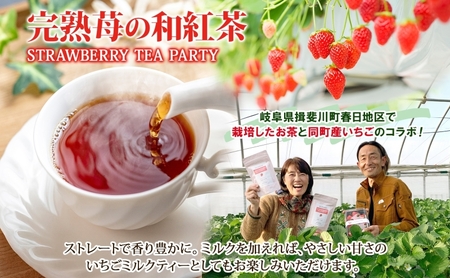 3種セット 完熟苺の和紅茶 2g×10個入 天空の古来茶 煎茶 秋冬番茶焙じ茶 各2g×20個入 各1袋 計3袋 ティーバッグ 在来茶 緑茶 ほうじ茶 紅茶 TEA ストロベリー フレーバー 飲み比べ