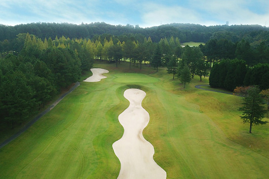 静ヒルズカントリークラブ 平日限定ペアプレー券 ゴルフ 練習施設 中嶋常幸プロ設計監修 チケット 茨城県 カントリークラブ ゴルフ平日プレー券 利用券 スポーツ 食事 アウトドア ゴルフコース 名門 