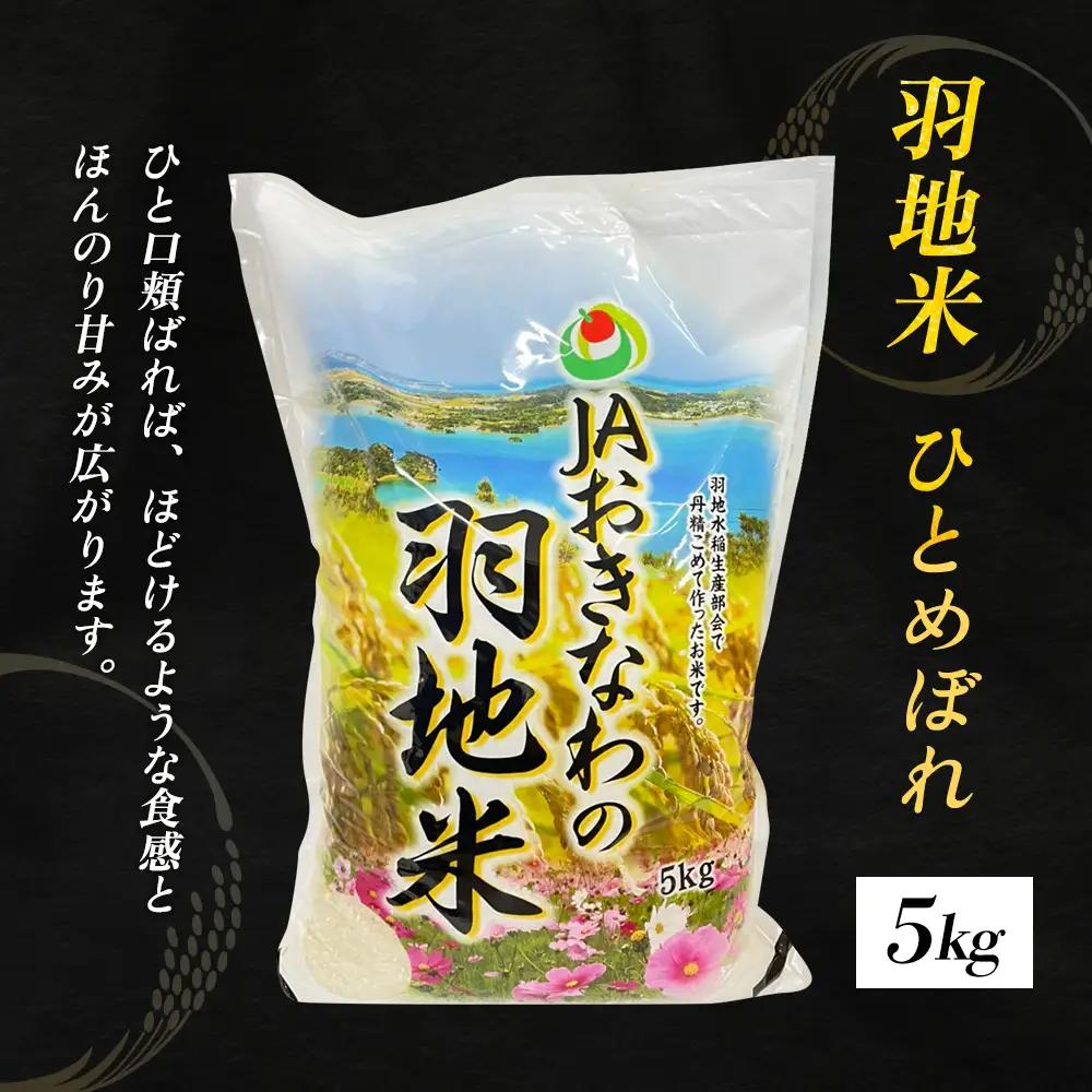 米 沖縄 令和8年産 羽地米(ひとめぼれ) 5kg 名護