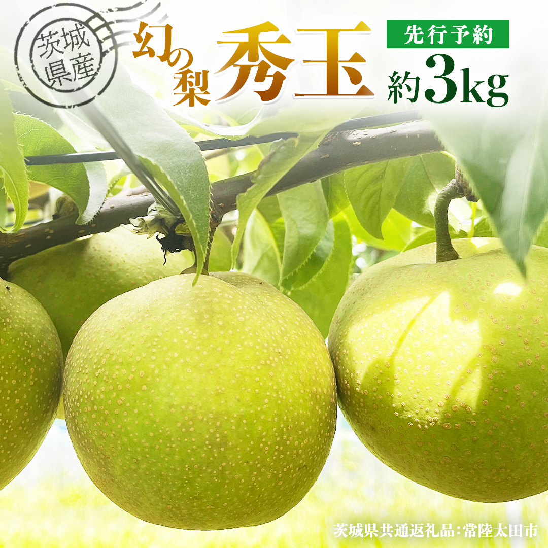 【 先行予約 】茨城県産 『幻の梨』 秀玉 約 3kg 7玉～9玉 ( 茨城県共通返礼品 : 常陸太田市 ) 【 2025年 8月下旬頃より発送 】 フルーツ 果物 国産 日本産 梨 ナシ なし 和梨 期間限定 数量限定