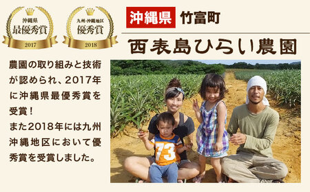 2024年 先行予約 スナックパイン 約2kg 3玉 西表島ひらい農園 パイナップル 果物 フルーツ パイン