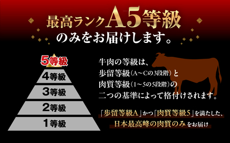 【6回定期便】飛騨牛 A5 1050g すき焼き用 ロース肉 牛肉 和牛