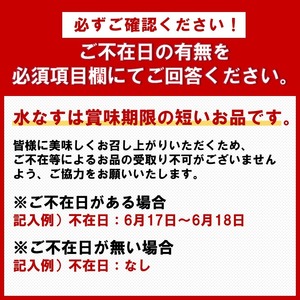 泉南銘産 水なす糠漬け 水なす太郎 6個【042D-014】
