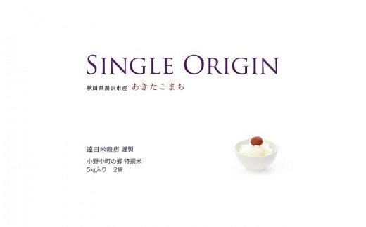 【令和5年産米】小野小町の郷特撰米あきたこまち　5kg×2袋[B6-2201]