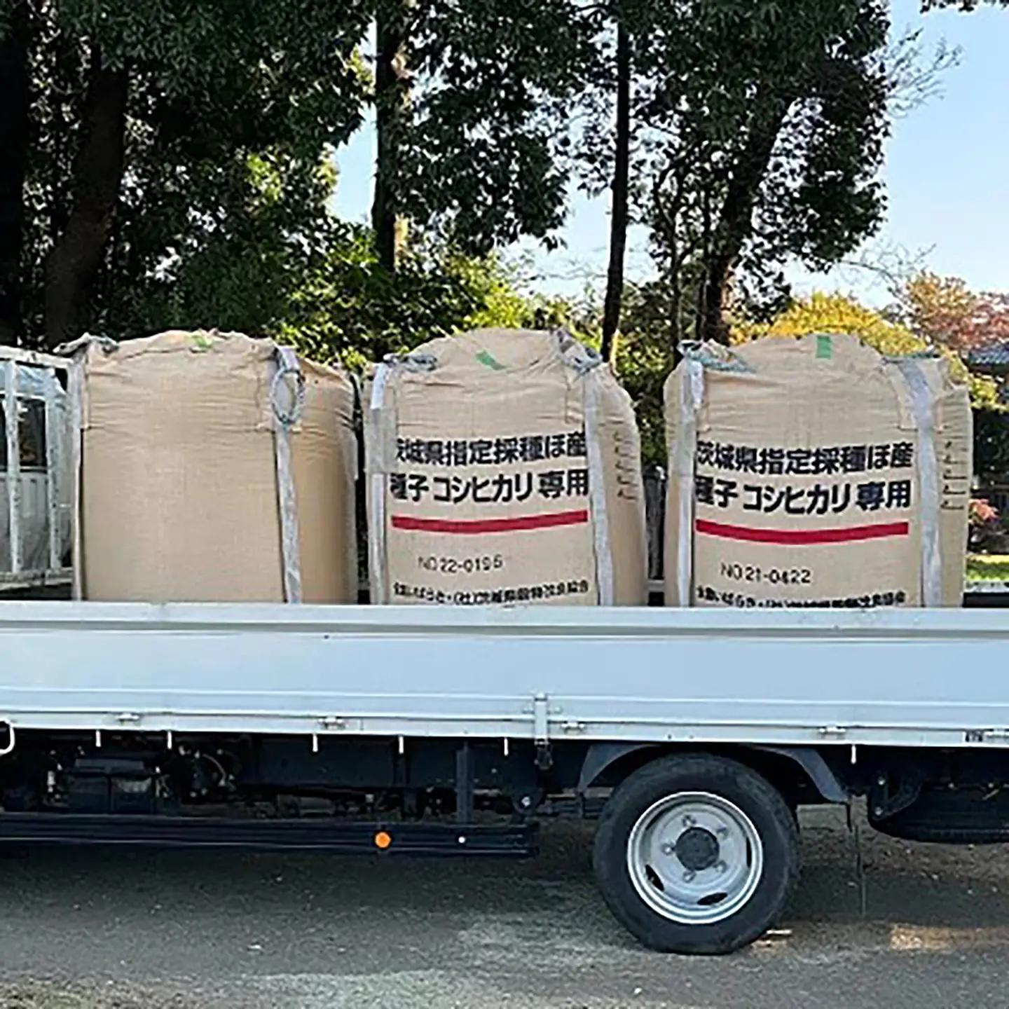 令和7年産 市左衛門農場コシヒカリ10kg(玄米) こしひかり
