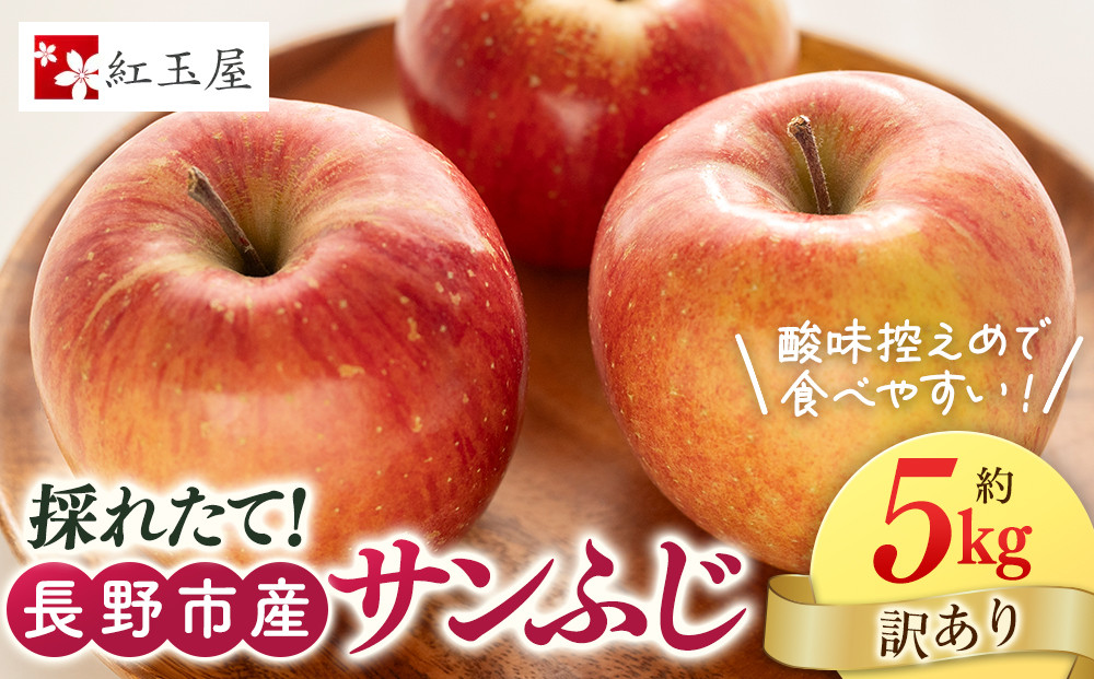 紅玉屋 長野市産【訳あり】サンふじ5kg【2026年12月上旬以降の出荷分】（紅玉屋） |  りんご フルーツ 果物 サンふじ 訳あり 人気 おすすめ ギフト プレゼント 送料無料 長野県 長野市 信