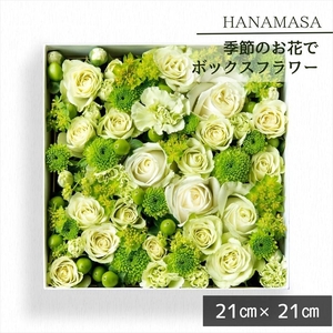 季節のお花でボックスアレンジメント（21cm×21cm）【 神奈川県 小田原市 花 花 花 花 花 】