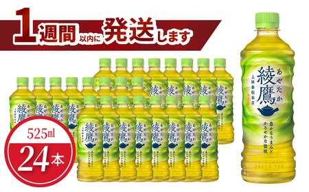 綾鷹 PET 525ml（24本入）ペットボトル 綾鷹 水分補給 常備 お茶 緑茶 コカ・コーラ