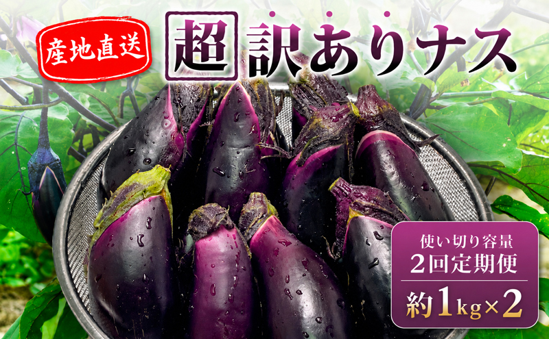 【先行受付】 【2回定期便】 安田町産 「超」 訳あり ナス なす なすび 1kg  新鮮 野菜 茄子 産地直送 季節限定 夏野菜 ふるさと納税茄子  ふるさと納税なすお漬物 漬物 味噌汁 みそ汁 マ