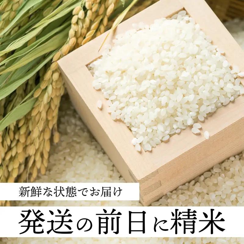 【定期便６回】 【令和7年度産】 コシヒカリ 5kg×6回 合計30kg