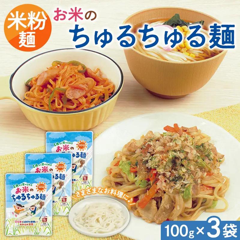【米粉麺】お米のちゅるちゅる麺 100g×3袋 FY26-111