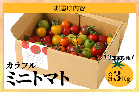 【先行予約】 カラフルミニトマト 『Ricotomato』 【1kg×4回定期便】 【2024年12月から出荷】 F-25