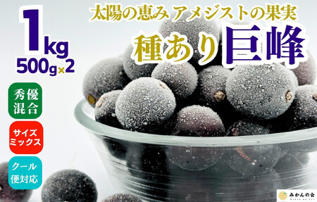 冷凍 種あり 巨峰 約1kg 秀優混合 サイズミックス 和歌山県産 産地直送 ぶどう クール便  【みかんの会】