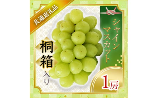 ＜2024年7月より順次発送予定＞シャインマスカット桐箱入り1房(県内共通返礼品:かすみがうら市産)【1401754】