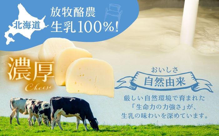 北海道産 十勝 チーズ セミハード チーズ ゴーダ 乳製品 生乳 加工品 