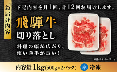 【12回定期便】飛騨牛切り落とし 1kg【肉の丸長】 和牛 ブランド牛 国産  [TAZ017]