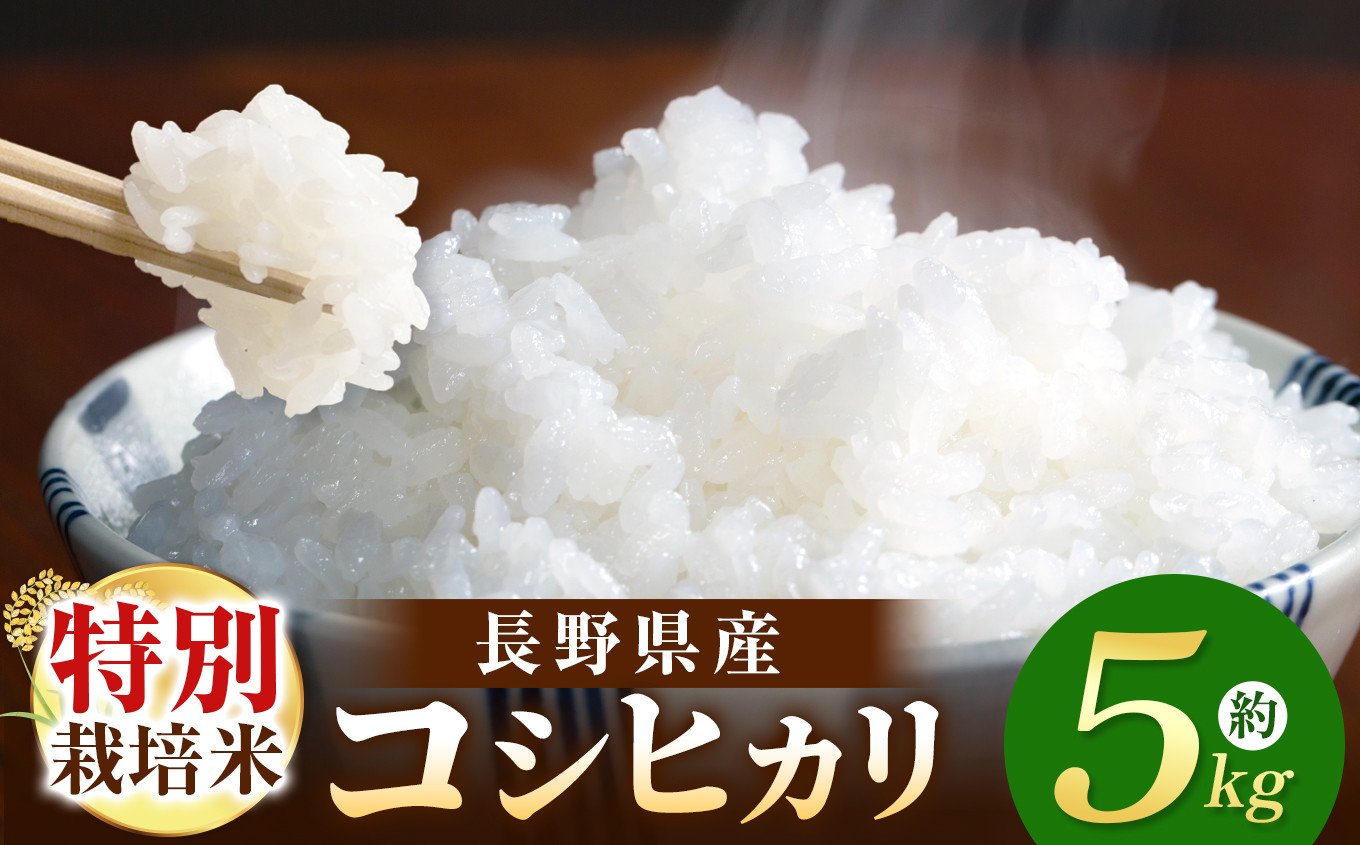 
            令和7年産 木島平産 特別栽培米コシヒカリ 約5kg （株）岳農 | 米 お米 特別栽培米 こしひかり コシヒカリ 長野県 木島平村 信州
          