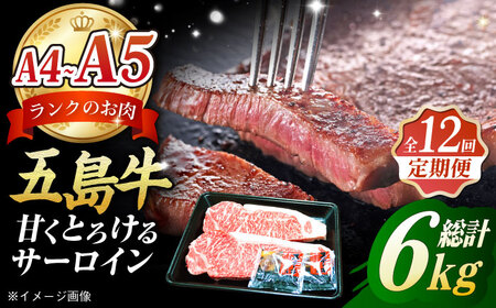 【12回定期便】五島牛 サーロインステーキ500g（250g×2枚） 五島市/肉のマルヒサ[PCV029] 