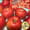 【ふるさと納税】長野県産　りんご「シナノスイート」約5kg【2024年9月～10月発送】【1052287】