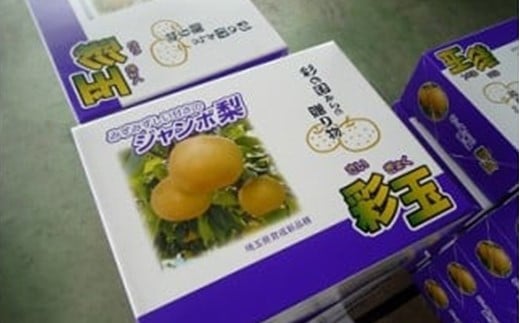 期間限定　騎西の梨「彩玉」