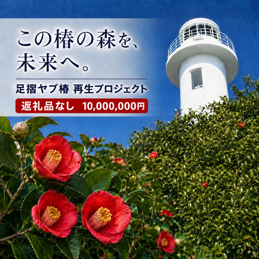 【ふるさと納税】足摺ヤブ椿再生プロジェクト 応援一口 10,000,000円（3,000,000円分）※返礼品なし※ 自然保護 椿 つばき ※返礼品なし※ 自然保護 椿 つばき ツバキ 藪椿 クラウドファンディング 募金 植物 自然 環境保護 SDGs 1000万円 高知県 土佐清水 【R01756】