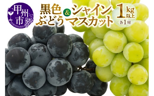 甲州市産旬の葡萄2房入り2色セット 1kg以上【2026年発送】（MG）B-493【シャインマスカット 葡萄 ぶどう ブドウ 令和8年発送 期間限定 山梨県産 甲州市 フルーツ 果物】