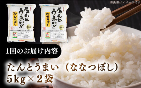 【全2回定期便】【令和6年産新米】特A受賞 たんとう米(ななつぼし) 10kg 《厚真町》 【とまこまい広域農業協同組合】 お米 ご飯 ななつぼし [AXAB068] 53000 53000円