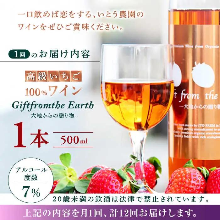 【12回定期便】高級 いちご 100％ワイン Giftfromthe Earth -大地からの贈り物- オーガニック【伊藤農園】  いちご 苺 熊本県 特産品 有機 お酒 オーガニックワイン [ZBB